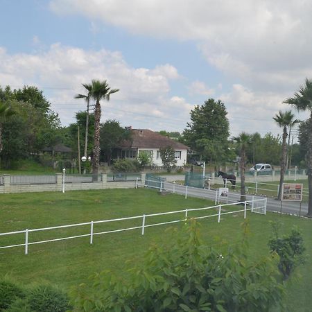 Serbesler Botanik, No 1 Comfortable Villa Sakarya  Zewnętrze zdjęcie