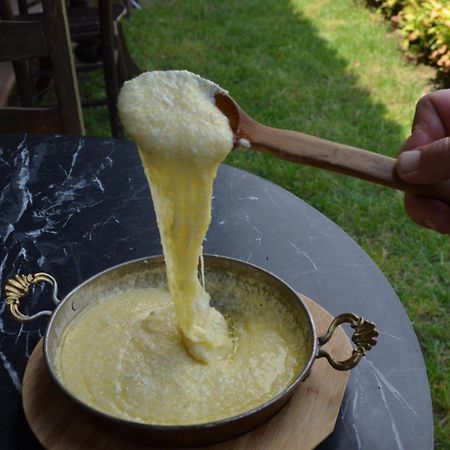 Serbesler Botanik, No 1 Comfortable Villa Sakarya  Zewnętrze zdjęcie