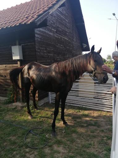 Serbesler Botanik, No 1 Comfortable Villa Sakarya  Zewnętrze zdjęcie
