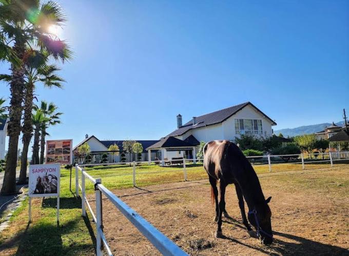 Serbesler Botanik, No 1 Comfortable Villa Sakarya  Zewnętrze zdjęcie