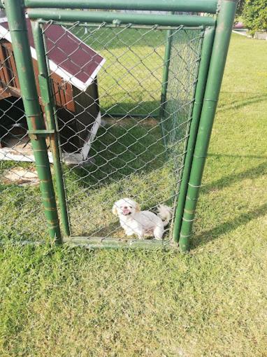 Serbesler Botanik, No 1 Comfortable Villa Sakarya  Zewnętrze zdjęcie