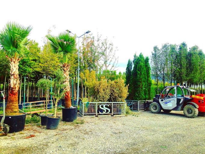 Serbesler Botanik, No 1 Comfortable Villa Sakarya  Zewnętrze zdjęcie